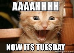 Image result for Hilarious Only Tuesday Memes