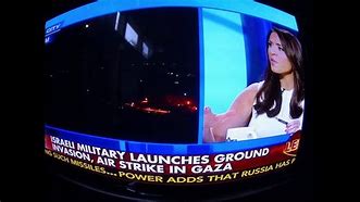 Image result for Andrea Tantaros Political Science