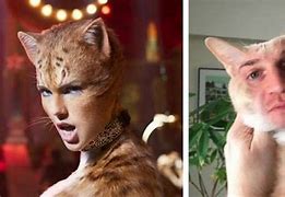 Image result for Cats 2019 Memes