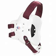 Image result for Maroon and Gold Wrestling Headgear