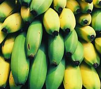 Image result for iPhone Pro 11 Camera Banana Meme