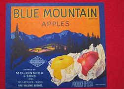Image result for Printable Apple Variety Chart
