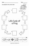Image result for Frog Life Cycle Cut and Paste