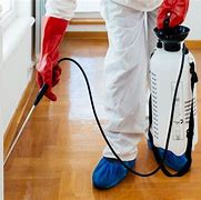 Image result for Pest Control Technician