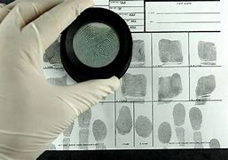 Image result for What Is a Fingerprint Analyst