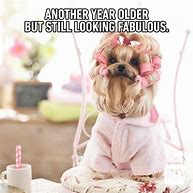 Image result for Funny Happy Birthday Meme for Female Friend