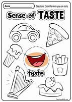 Image result for 5 Senses Teachers Mag