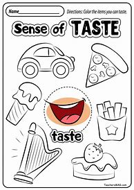 Image result for 5 Senses Taste Test