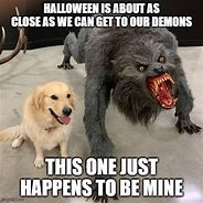 Image result for Funny Scary Dog Memes