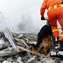 Image result for What to Do in a Earthquake