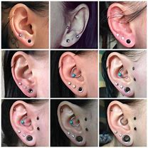 Image result for Double Ear Gauges