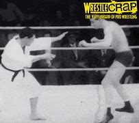 Image result for Karate vs Wrestler