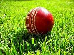 Image result for Cricket Ball Withour Background