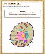 Image result for Free 4th Grade Science Worksheets