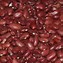 Image result for Bumblebee Red Beans