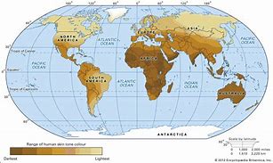 Image result for Biological Differences in Races