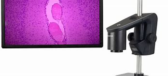 Image result for Wi-Fi Digital Microscope