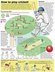 Image result for Cricket Types