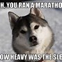 Image result for Hilarious Dog Memes Clean