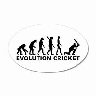 Image result for Cricket Bat Evolution