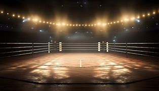 Image result for Boxing Ring Lights