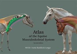 Image result for Horse Atlas