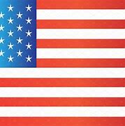 Image result for USA Flag Symbol