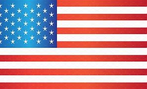 Image result for USA Flag Vector Logo