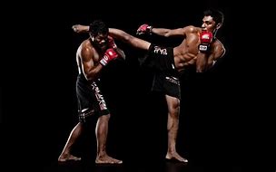 Image result for Martial Arts Images. Free