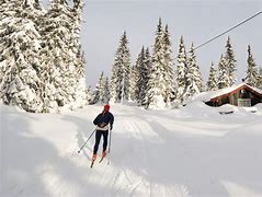 Image result for Skiing in Norway