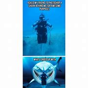 Image result for Funny Diving Meme