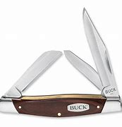 Image result for Buck Folding Pocket Knife