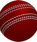 Image result for Cricket Transparent