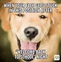 Image result for School Memes That Are Relatable