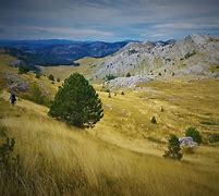 Image result for Hrvatska Planine