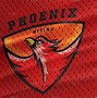 Image result for PHOENIX