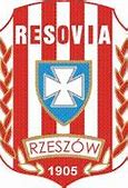 Image result for cwks_resovia_rzeszów
