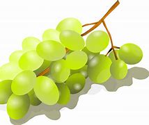 Image result for Green Grapes Bunch PNG