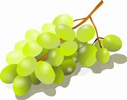 Image result for Green Grapes Bunch PNG