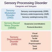 Image result for Sensory Processing