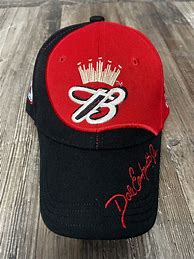 Image result for Dale Earnhardt Jr Budweiser Hat