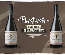 Image result for Vino Bambino Pinot Noir