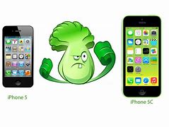 Image result for iPhone 5C vs iPod 4