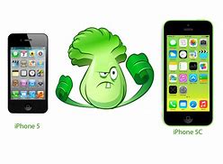 Image result for iphone 5 vs iphone 5c