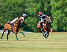 Image result for Polo Matches