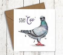 Image result for Good Luck Pigeon