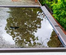 Image result for Flat Roof Cricket