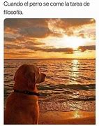 Image result for Dog Beach Meme