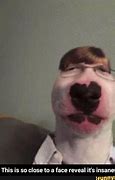 Image result for Funny Face Reveal