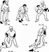 Image result for Sambo Martial Art